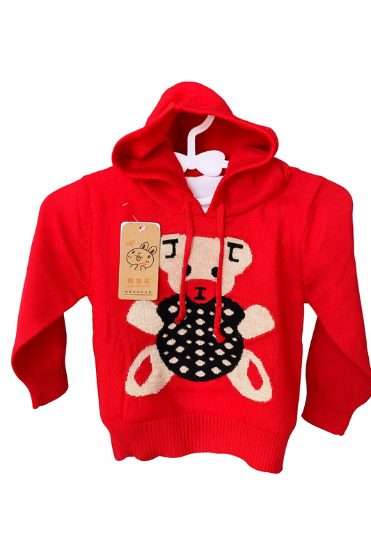 Baby Hooded Pullover Sweater – Cute Bear Design, Unisex, Warm & Stylish (0–24 Months)